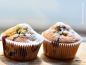 Preview: Backmischung Muffins 1kg mit Beeren