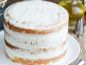 Mobile Preview: Mischung für Tortencreme 4kg Naked Cake